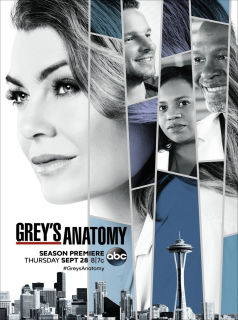 Grey's Anatomy streaming