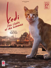 Kedi - Des chats et des hommes streaming